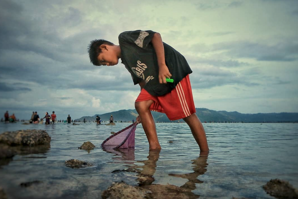 Bau Nyale Kuta Lombok